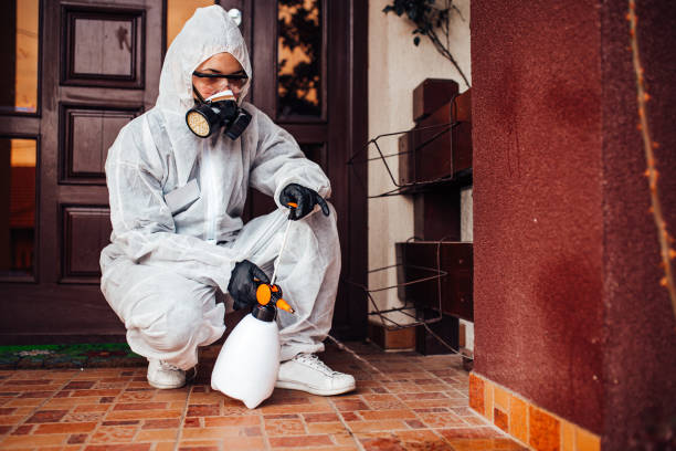 Reliable Bed Bug Control contractor in East Brooklyn, CT by Nex Pest Control